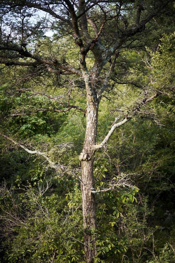 Letamo At Qwabi Private Game Reserve By Newmark Bela-Bela Exteriör bild